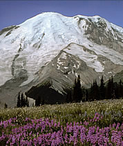 Mt. Rainier from East.Photo by MRNP.