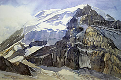 Ptarmigan Ridge, Mt. Rainier.