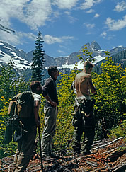 Emerging from the forest of Stetattle Creek, we meet a wall of brush on our way to the North Face of Mt. Terror in July 1961. © Ed Cooper