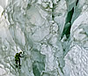 A rappel over ice cliffs during the traverse of the cirque to the base of Mt. Terror. © Ed Cooper