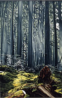 Forest Scene, 1970 © CL Firey