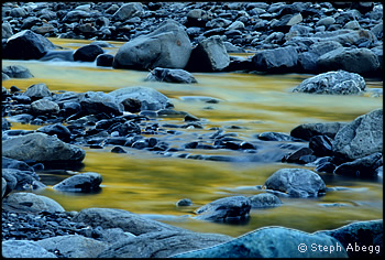 Evening light on the South Fork of the Hoh. Photo &copy; Steph Abegg.