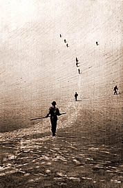Climbers on Mt. Rainier, 1908.  