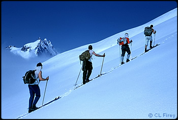 Climbing the Eldorado Glacier on skis, 1961. Photo © CL Firey.
