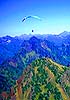 Mt Ellinor